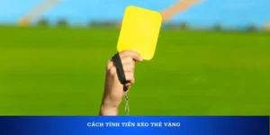Hướng Dẫn Chi Tiết Và Mẹo Hay Về Cách Chơi Kèo Thẻ Vàng Tại NowGoal Mới Nhất