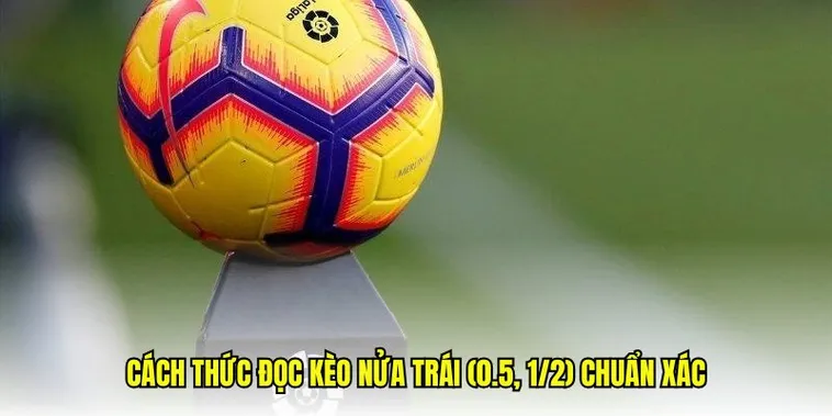 Kinh Nghiệm Chơi Kèo Chấp 0.5 Tại NowGoal Giúp Bạn Về Bờ An Toàn