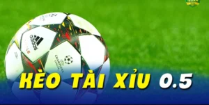 Nắm Bắt Cơ Hội Làm Giàu Nhờ Vào Cách Chơi Kèo Tài Xỉu Tại NowGoal Chuẩn Xác