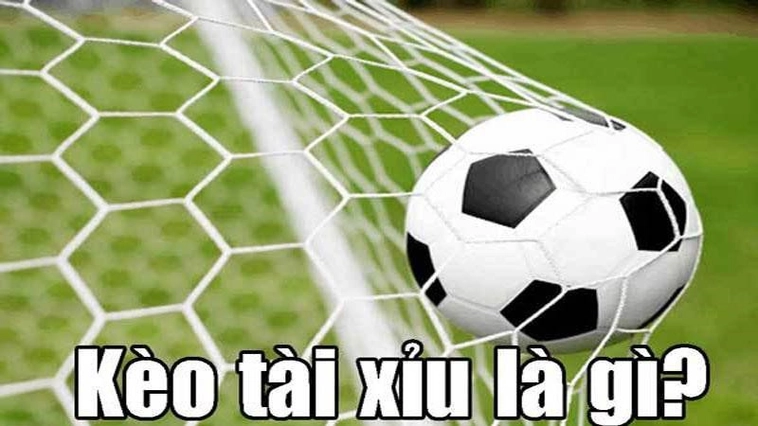 Cách Chơi Kèo Tài Xỉu Bóng Đá Tại NowGoal Chuẩn Xác